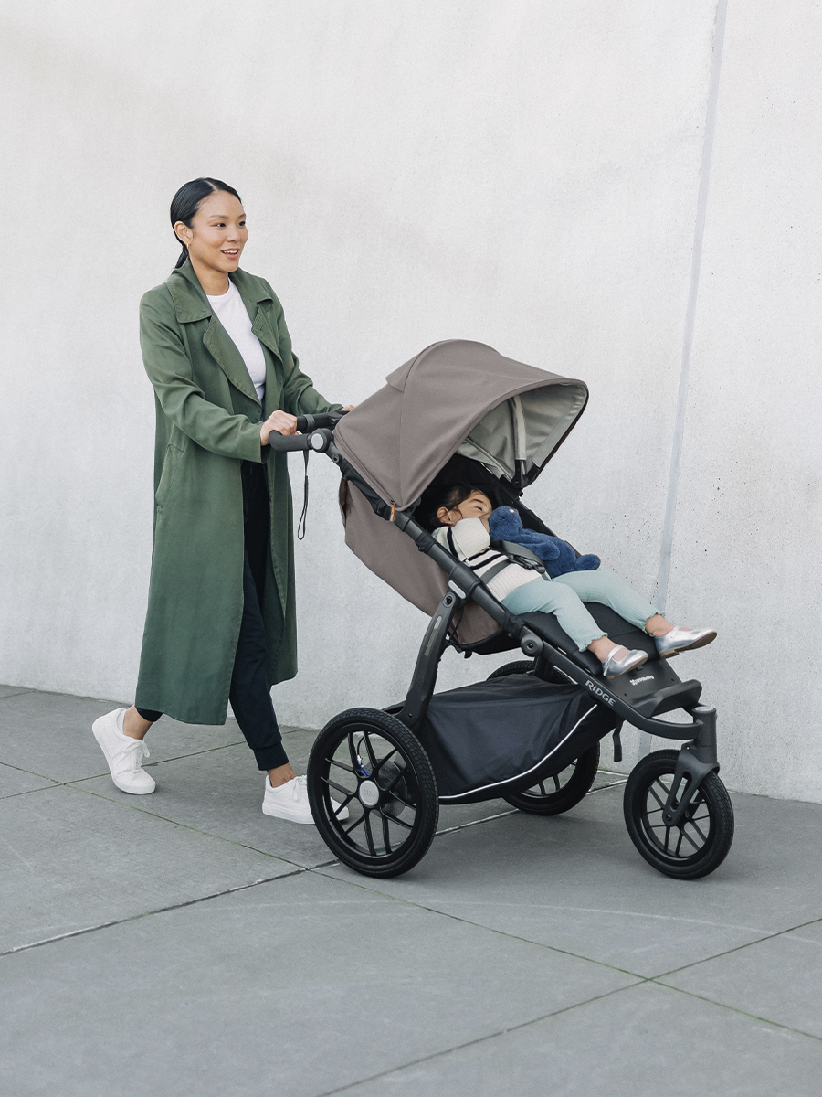 картинка Коляска прогулочная UPPAbaby RIDGE молочный шоколад