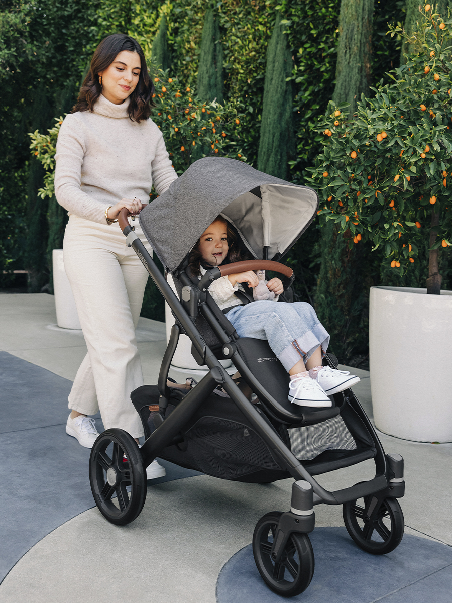 картинка Коляска 2в1 UPPAbaby VISTA V3 GREYSON 