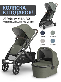 Коляска 2в1 UPPAbaby VISTA V3  Evelyn