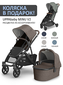 Коляска 2в1 UPPAbaby VISTA V3  Owen